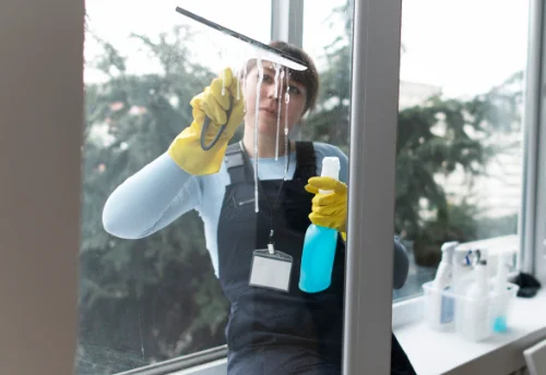 Nettoyage de vitres intérieures et extérieures à Arbent